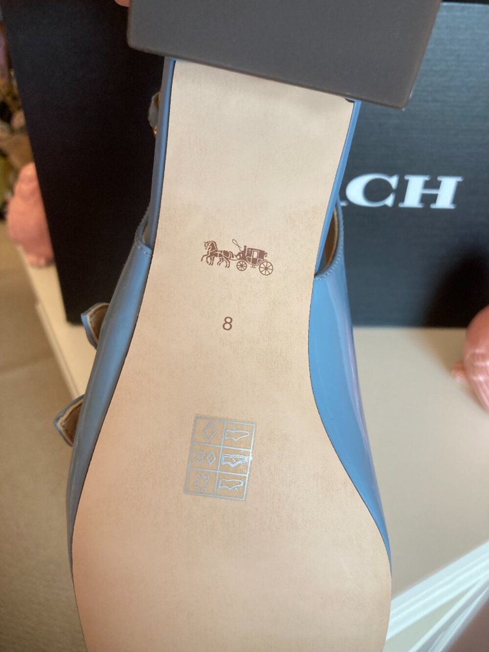 NWB Coach Winley Mary Jane slingbacks in bluebell, sz. 8 - Picture 2 of 2